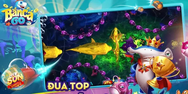 Quản lý ngân sách cược hợp lý